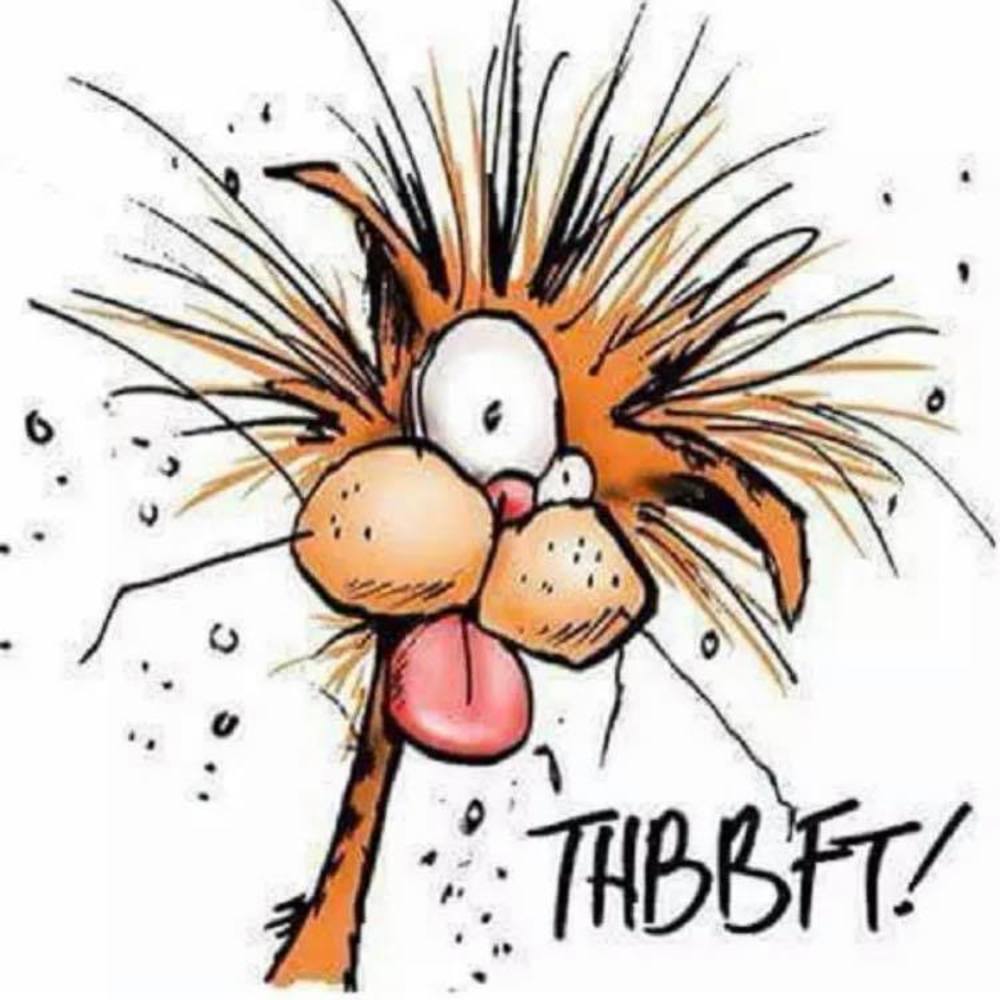 Meet your Posher, Shamsher